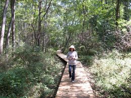 断食スケジュール 断食スケジュール
