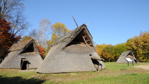 秋晴れコース写真 秋晴れコース写真